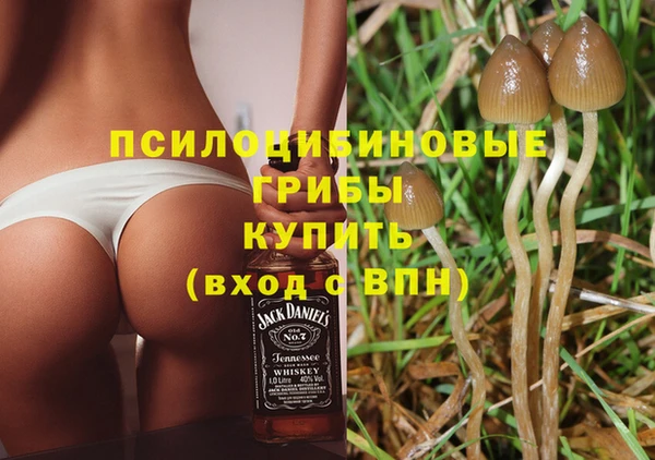COCAINE Богородск