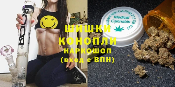стафф Богданович