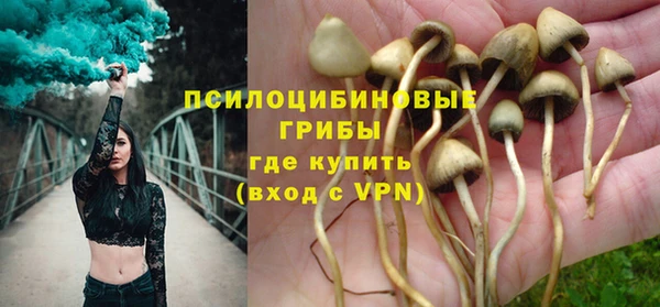 синтетический гашиш Богородицк