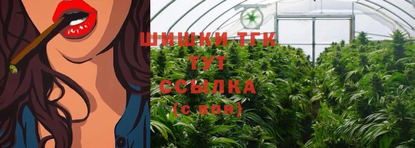 стафф Богданович