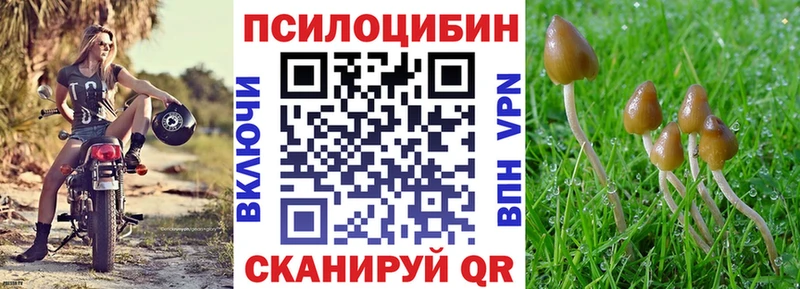 гидра ТОР  купить   мориарти телеграм  Псилоцибиновые грибы Cubensis  Тосно 